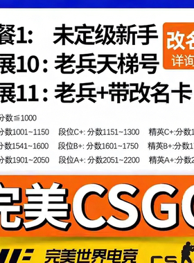 完美csgo号新手老兵cs2账号成品小号天梯白号d号低分c号世界平台