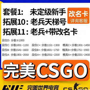 完美csgo号新手老兵cs2账号成品小号天梯白号d号低分c号世界平台