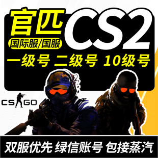 csgo官匹号cs2账户国服绿信竞技账号一二级定级白银黄金steam国际