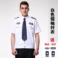 Белые короткие рукава [включают наклейки]