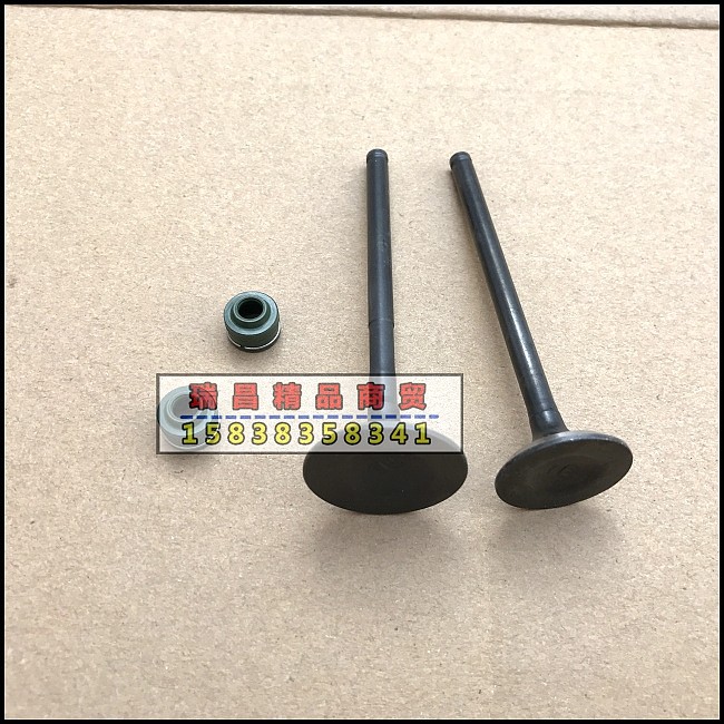 适用新大洲本田CBF125R/S气门油封SDH125-60/61进气门排气门正品