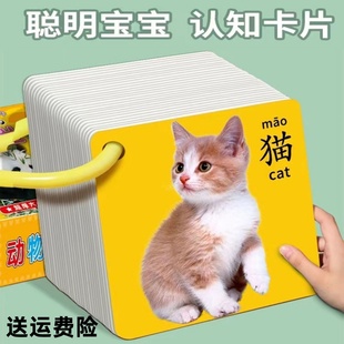认识水果蔬菜卡片儿童幼儿园海洋动物早教训练婴幼儿启蒙认知教具