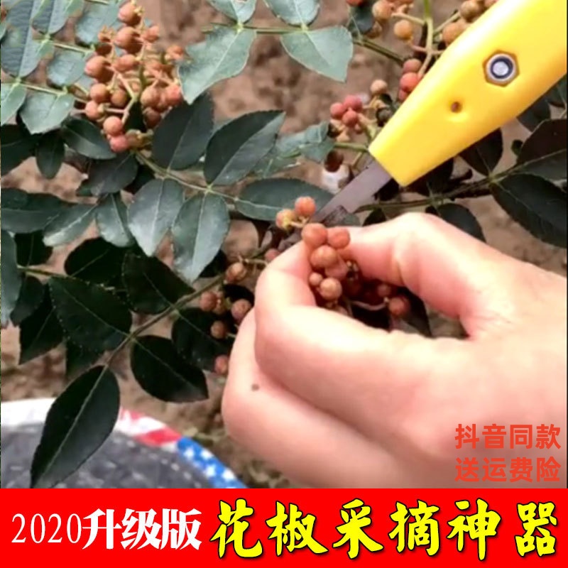 采摘花椒专用神器剪花椒水果