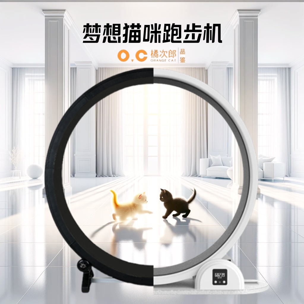 新款猫咪静音滚轮跑步机出口海外