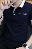 8712夏季男士短袖t恤带有领时尚半袖Polo衫休闲简约青年，男装T恤，电商D310（原电商305）