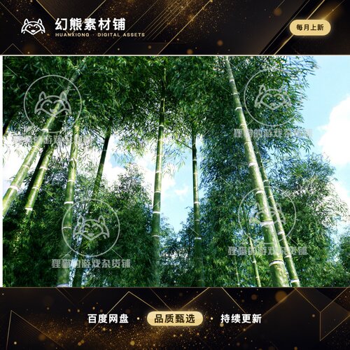 Unity Bamboo trees HDRP 竹子竹林模型场景1.0