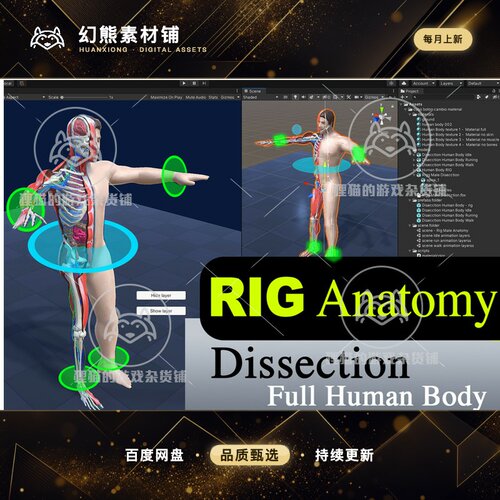 Unity RIG Dissection Anatomy Full Human Body Male 解剖 1.0