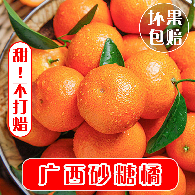 现摘砂糖橘整箱广西正宗新鲜9斤小蜜桔子金秋沙糖桔无籽应季水果
