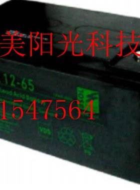 BSOL铅酸免维护蓄电池BFX12-65深循环 长寿命电瓶12V65AH