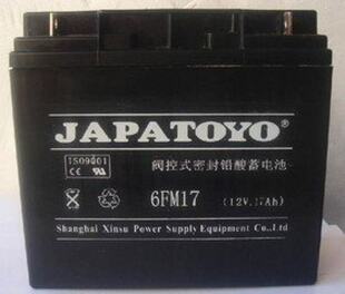 12V17AH UPS电源太阳能直流屏专用蓄电池 GFM 东洋蓄电池6