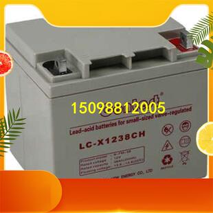 X1238CH正品 包邮 UPS 直流屏用12V38AH EPS 德国康迪斯蓄电池LC