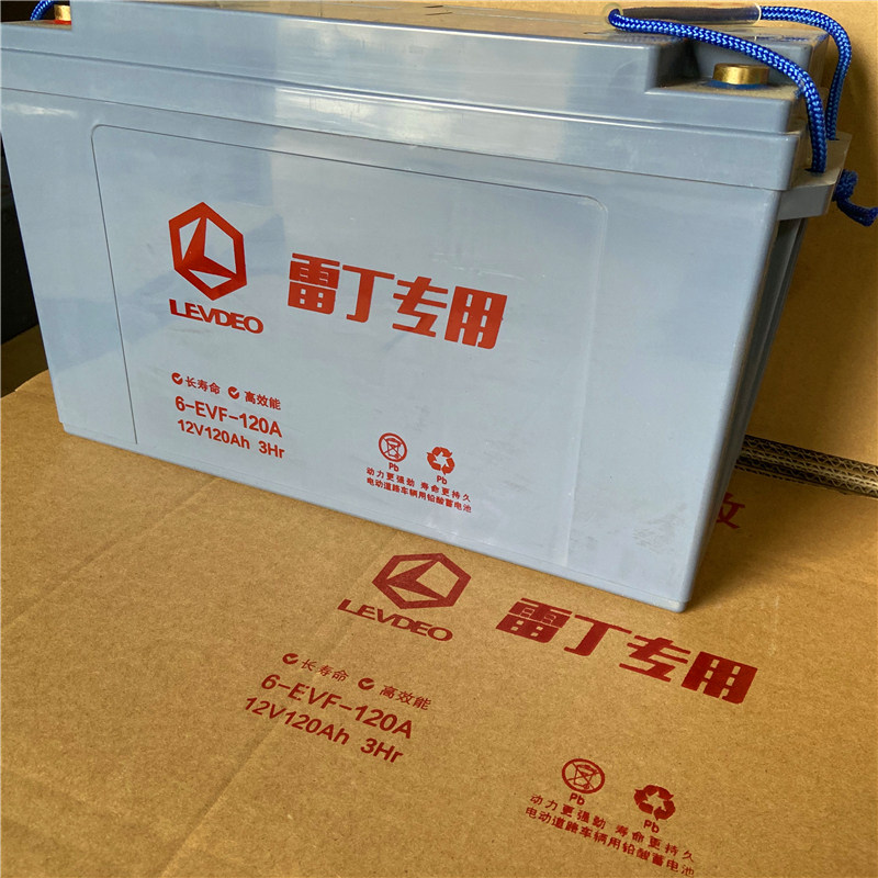 雷丁蓄电池12V-100A 120ah80a观光车洗地机60V72V免维护铅酸电瓶