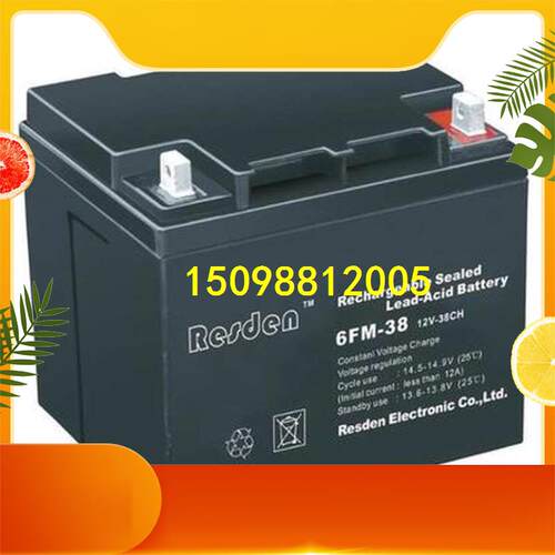 雷斯顿12V38AH Resden12V38AH UPS 原装正品