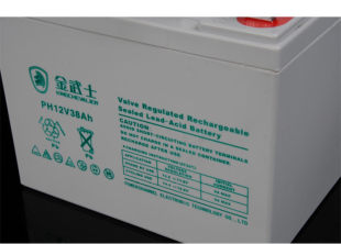 UPS不间断电源用电瓶 原装 金武士PH12V38铅酸免维护蓄电池12V38AH