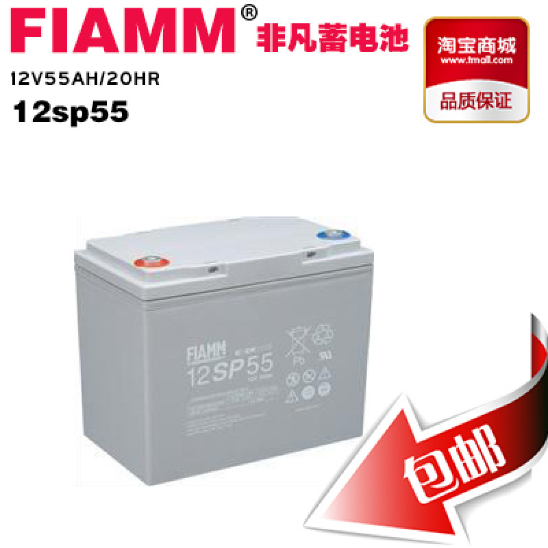 非凡蓄电池12SP55蓄电池现货 FIAMM蓄电池12V55Ah 五金/工具 蓄电池 原图主图