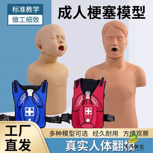 高级幼儿/成人气道梗塞及CPR模型海姆立克心肺复苏急救训练模拟人