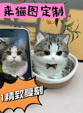 猫咪定制玩偶硅胶仿真纪念摆件