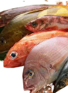 VNH5019ATR-E  OPT3101RHFR  MC34063ADR2G  UC2843BD1R2G