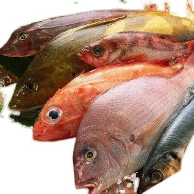 VNH5019ATR-E  OPT3101RHFR  MC34063ADR2G  UC2843BD1R2G