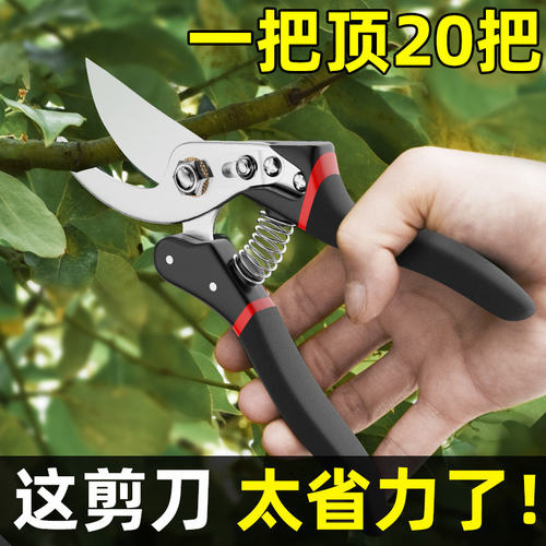 修枝剪园艺剪树枝专用剪刀园林剪果树修枝花艺修花剪省力sk5剪子