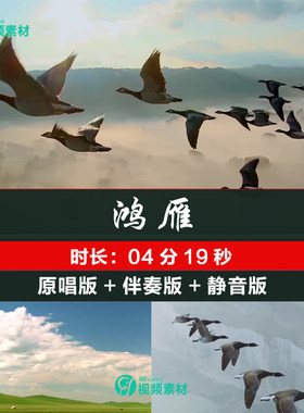 降央卓玛《鸿雁》原唱伴奏 LED大屏幕舞台背景视频素材 草原歌曲
