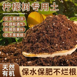柠檬树专用土营养土养花通用种植土家用阳台盆栽兰花多肉有机土壤