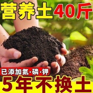 通用型肥沃营养土海南养花种花多肉绿萝兰花种菜育苗肥料