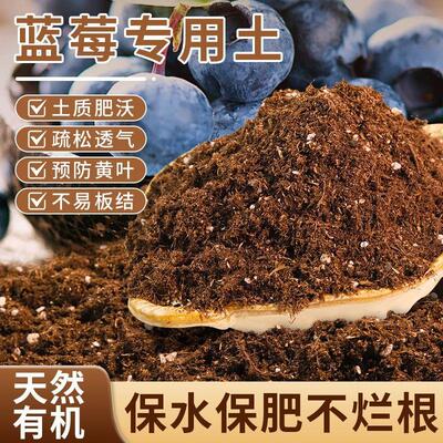 蓝莓专用土疏松透气营养土家用阳台盆栽有机种植土花卉绿植通用土