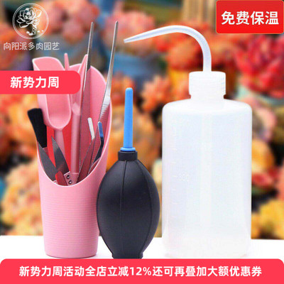新手多肉植物种植工具套装地垫