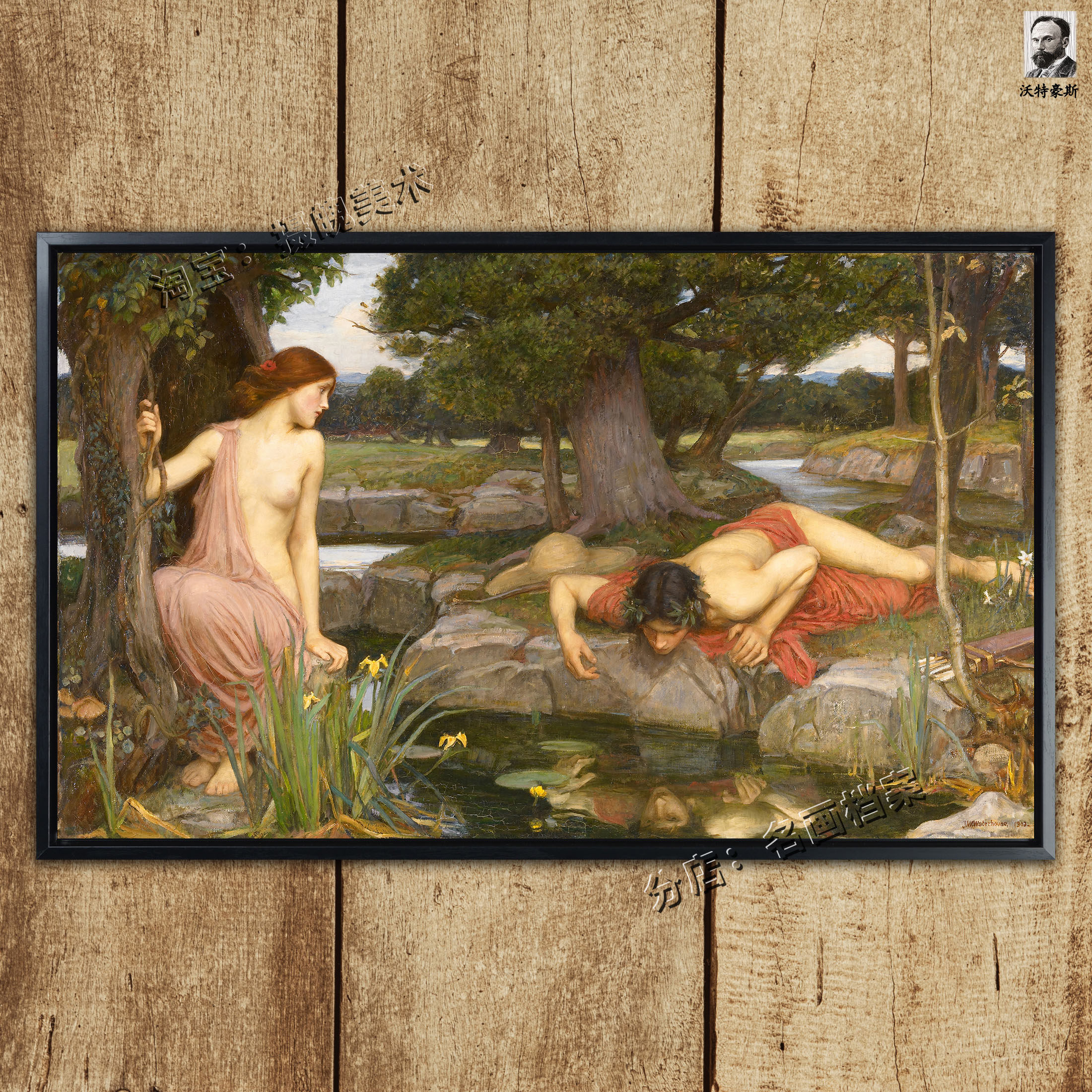 厄科和纳西索斯 回声和水仙 echo and narcissus凄美希腊神话油画