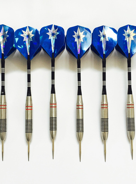 24克6只 专业不锈钢飞镖 比赛级用 耐用飞镖针 金属飞标