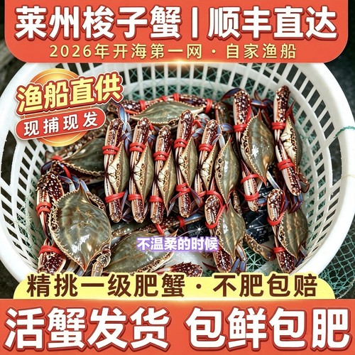 莱州三山岛梭子蟹超大海螃蟹顺丰