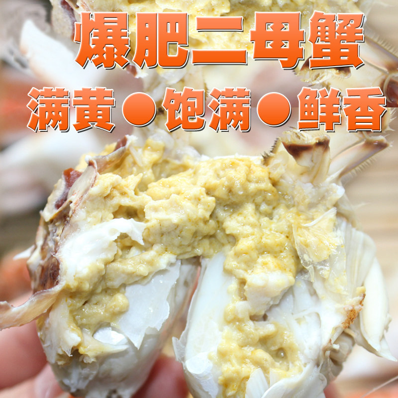 【保鲜不保活】莱州湾梭子蟹飞蟹白蟹野生母蟹二母蟹烟台螃蟹1只