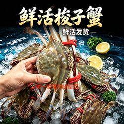 【保鲜不保活】莱州梭子蟹鲜活海蟹飞蟹白蟹螃蟹海鲜礼盒团购顺丰