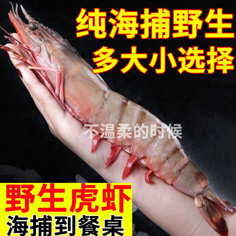 虾新鲜冷冻大虎斑节海捕巨型