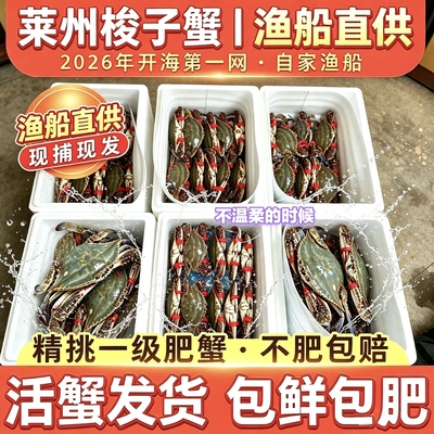 山东莱州梭子蟹顺丰次日达公母蟹