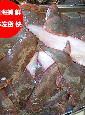 龙利鱼新鲜舌头鱼目鱼踏板鱼包邮