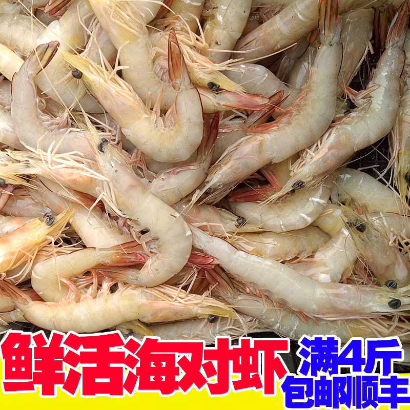 大明虾鲜活海鲜水产超大特大青岛活虾