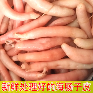 烟台莱州湾鲜活海肠子当天现杀海肠子皮 鲜活海鲜 海肠子皮新鲜