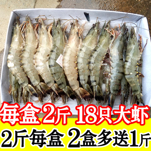 黑虎新鲜只2份包邮冷冻海虾对虾