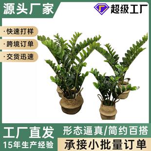 仿真金钱叶绿植盆栽 仿真假金钱叶植物 人造塑料摆件绿色丛生植物