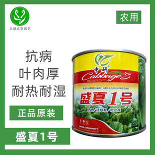 申研盛夏1号叶肉厚直立紧凑适应性广抗病耐热耐湿叶片厚白菜种子