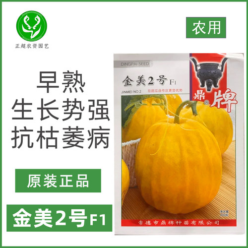 金美2号甜瓜种子农户种植早熟高产抗病耐重茬型椭圆形香瓜种籽孑