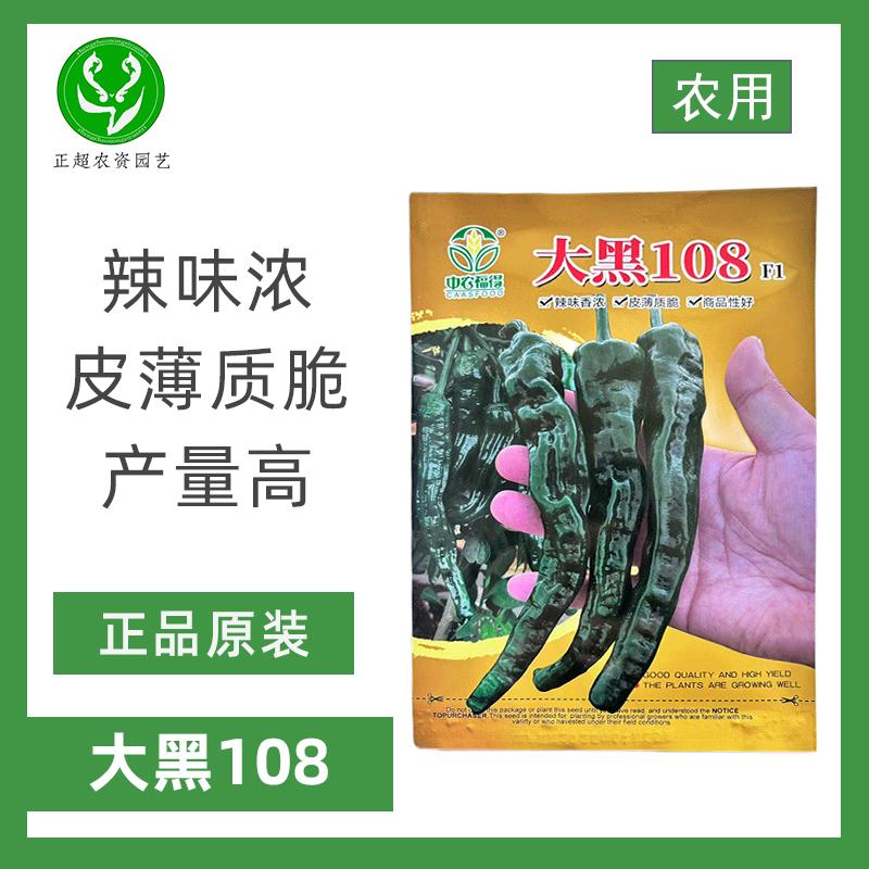 大黑108皱皮辣椒种子薄皮香辣