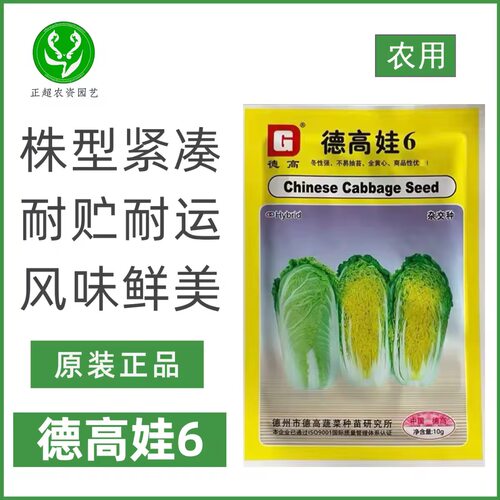 德高娃6黄心大白菜种子农家大田青菜种子春秋优质好吃娃娃菜种籽