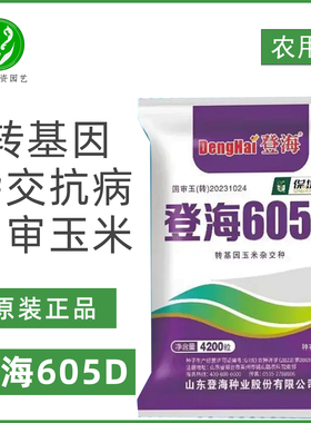 登海605D玉米种子 转基因抗虫玉米抗病高产大田玉米原装玉米种子