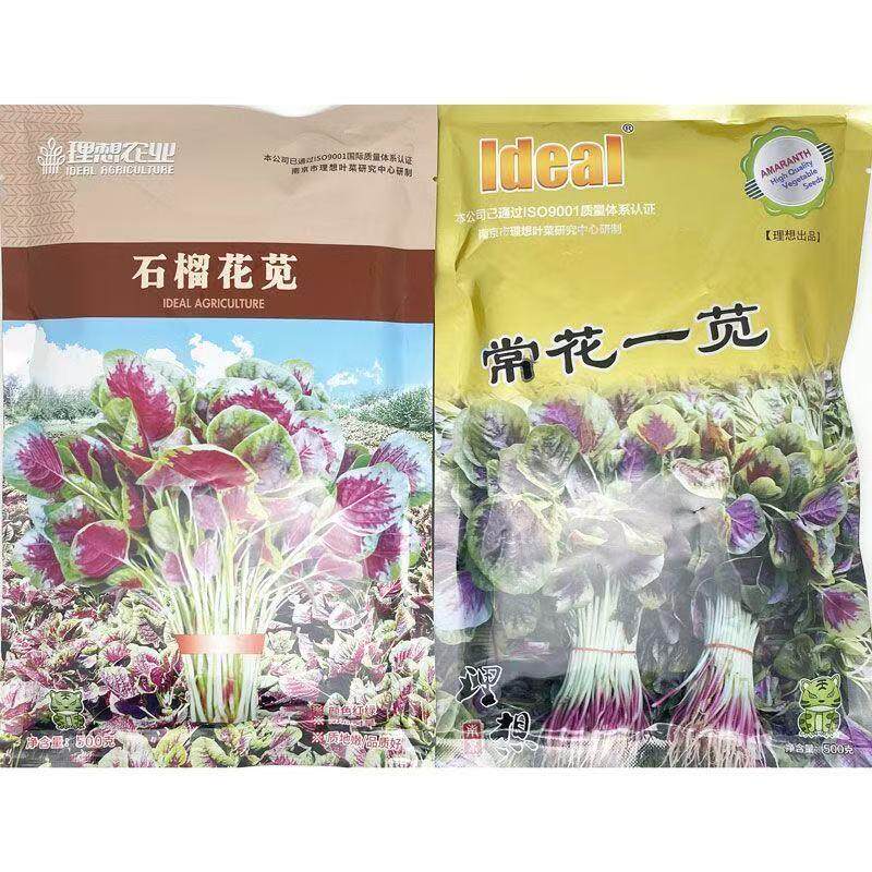 理想常花一苋石榴花苋红苋菜种子圆叶白梗耐热耐旱早熟上榜优选