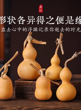 天然精品文玩葫芦手把件带龙头小手捻绕指柔手盘玩把玩男胖墩葫芦