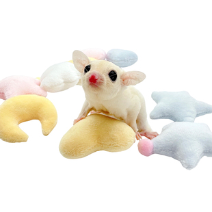 【安抚小抱枕】蜜袋鼯松鼠花枝鼠星月云兔子鹦鹉龙猫柔软小玩具