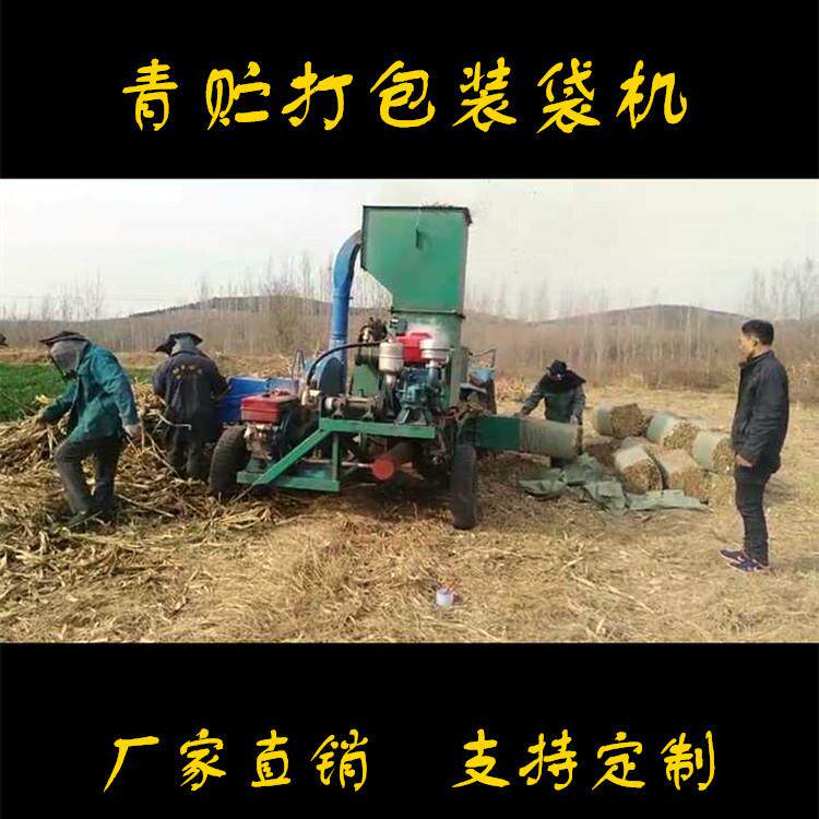 养殖专用秸秆甘蔗尾叶打包机 锯末卧式打包装袋机 青贮打包机